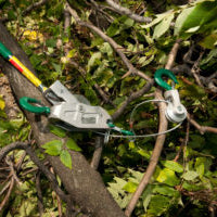 Spring Clean-Up Q&A: Using a Winch Hoist for Tree Stump Removal
