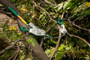 Hurricane Clean-up and Recovery with A Cable Hoist