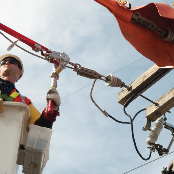 Linemen Choose Lug-All Hoists